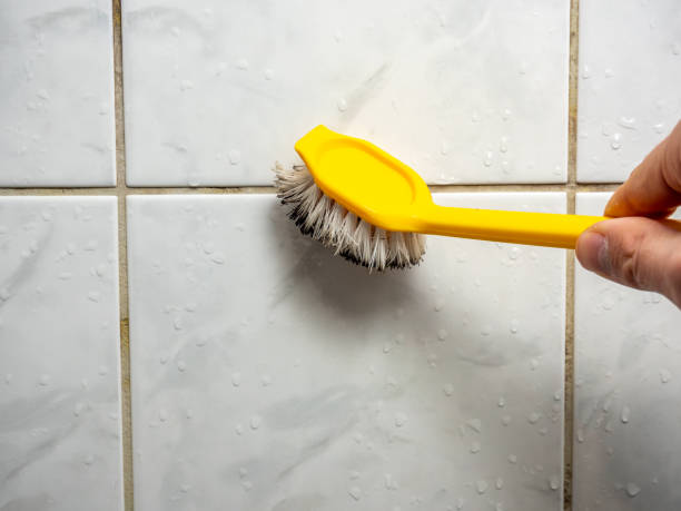 Certified Mold Removal in Ashton Sandy Spring, MD